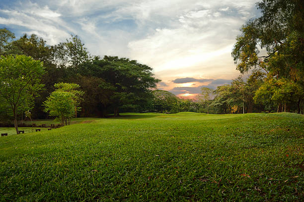 istock Green grass field in public park, 470305374