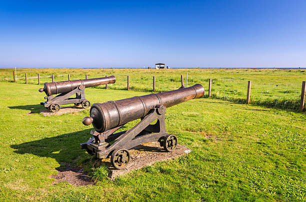 istock Bronze cannons on Oland island 470306824