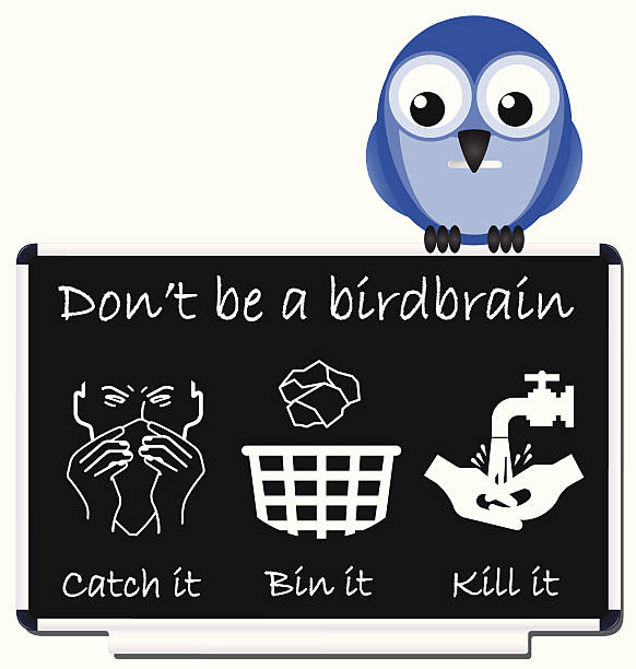 Flu prevention Do not be a birdbrain flu prevention message birdbrain stock illustrations