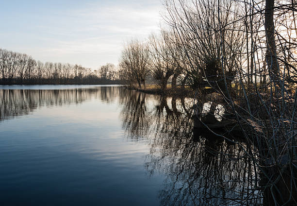istock Natural pond early in the morning 470311288
