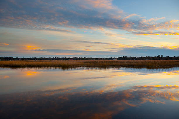 South Carolina Marsh. A tidal marsh at sunset in North Charleston, South Carolina. brackish water stock pictures, royalty-free photos & images