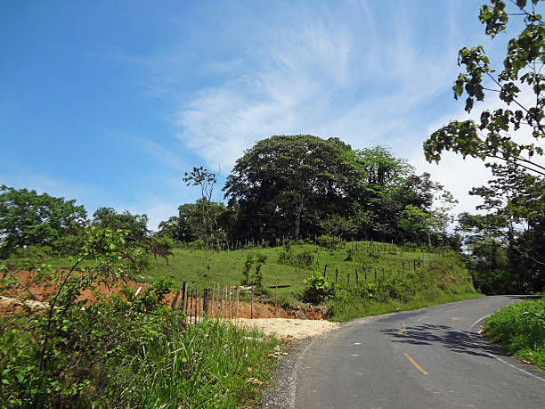 istock impressions from costa rica 470316739