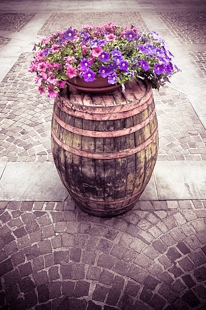 istock Wooden barrel with flowerpot above 470322358