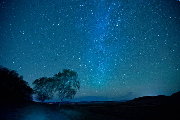 istock Milky Way over the Forest 470326350