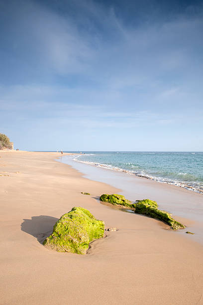 istock Rock on Beach at Canos de Meca, Cadiz 470331096