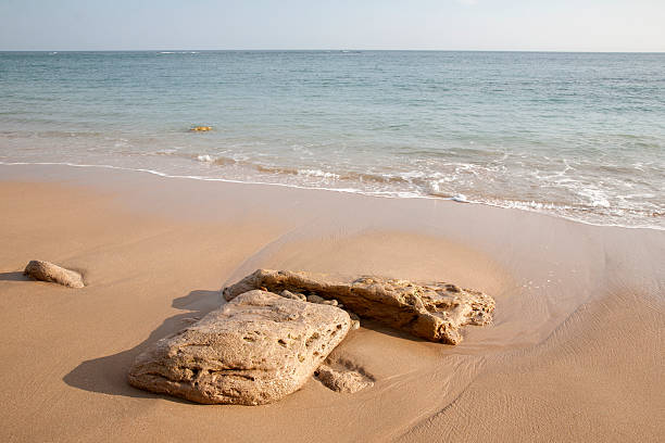 istock Canos de Meca Beach, Cadiz, Andalusia 470331110