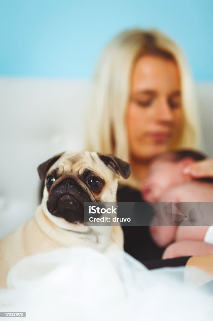 Mother with her baby girl and dog Dog Stock Photo