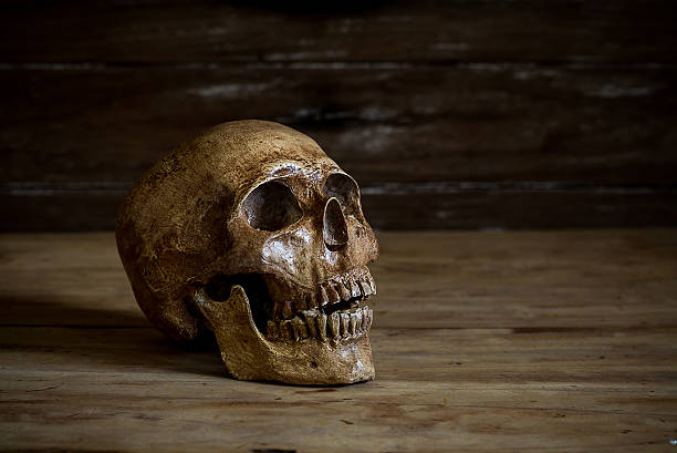 istock Still life.Skull resting on the old wooden floor. 470335686