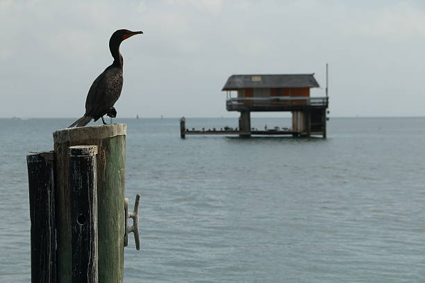 Stiltsville, Florida stock photo