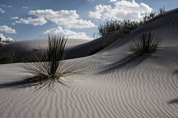 istock White Sands New Mexico USA 470338633