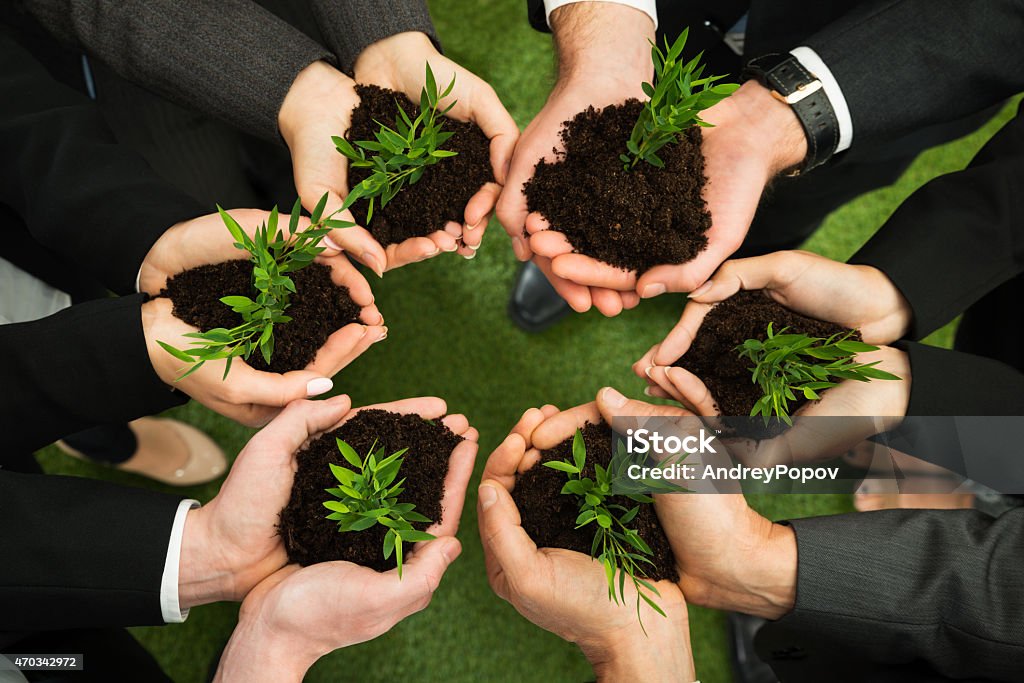 Businesspeople Hands With Plant And Soil Group Of Businesspeople Hands Holding Green Plant With Soil Dirt Stock Photo