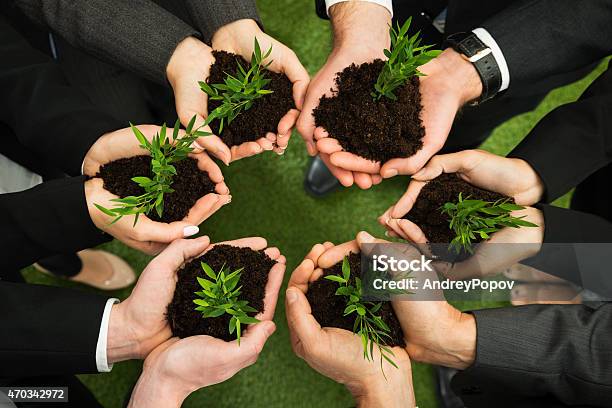 Businesspeople Hands With Plant And Soil Stock Photo - Download Image Now - Dirt, Entrepreneur, Holding