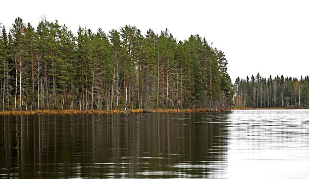 istock Ruokosalmi lake in Lomarantala. Grindstone. Finland 470343042