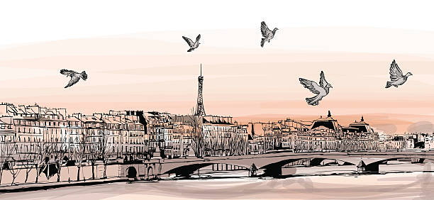 ilustrações, clipart, desenhos animados e ícones de vista de paris a partir de "pont des arts" - paris france panoramic seine river bridge