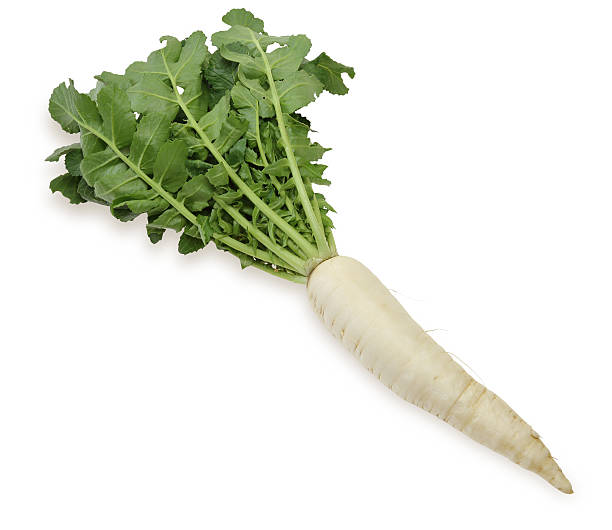 istock Japanese radish with leaf in a white background 470343790
