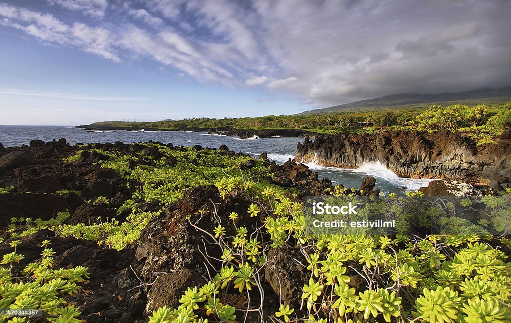 Vista da costa no Parque estatal de Waianapanapa - Royalty-free Estrada principal Foto de stock