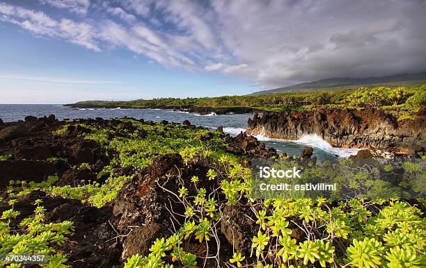 Vista Da Costa No Parque Estatal De Waianapanapa - Fotografias de stock e mais imagens de Estrada principal - Estrada principal, Hana - Maui, Maui