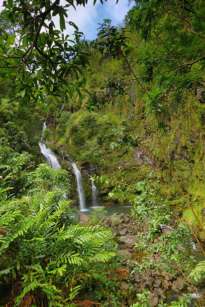 istock Three Bear Falls on the Road to Hana 470344393