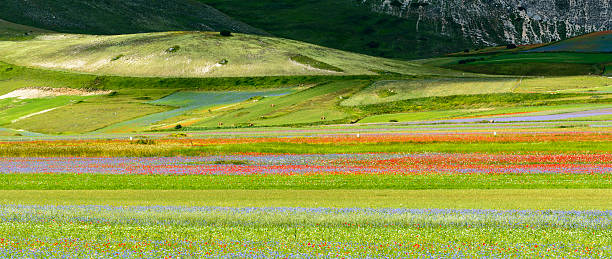 istock Piano Grande di Castelluccio (Italy) 470347566