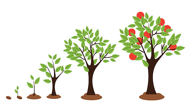 pertumbuhan pohon - time life ilustrasi stok