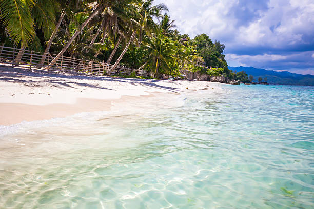 istock Tropical perfect beach with green palms,white sand 470350401