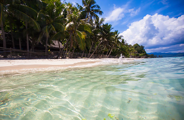 istock Tropical perfect beach with green palms,white sand 470350453