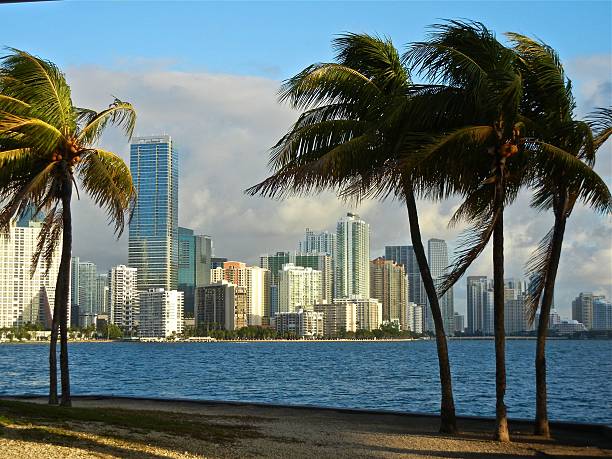 istock Skyline of tropical Miami 470351086