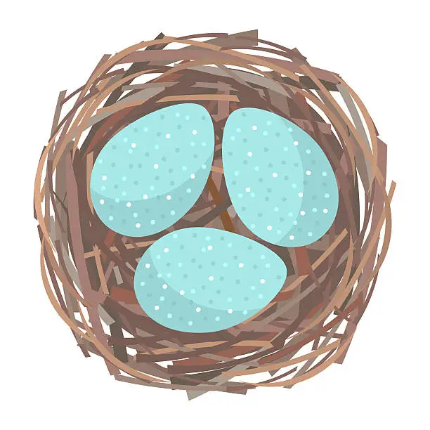 Vector illustration of Nest with eggs