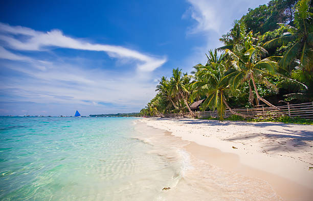istock Tropical beach with beautiful palms and white sand, Philippines 470353595