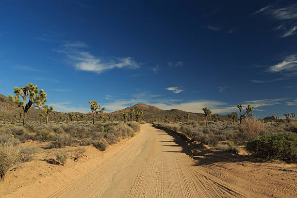 istock Joshua Tree National Park 470354278