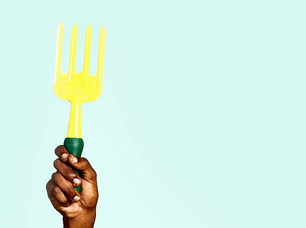 istock Male hand holds up garden handfork against blue 470355849