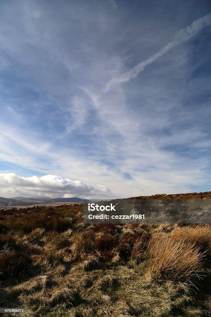 Beautiful Irish landscape in the Wicklow mountains 2015 Stock Photo