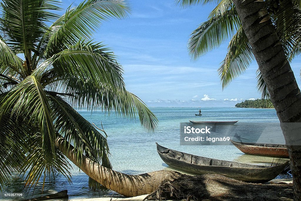 Paradise beach with canoes and palm tree Paradise beach in Madagascar Madagascar Stock Photo