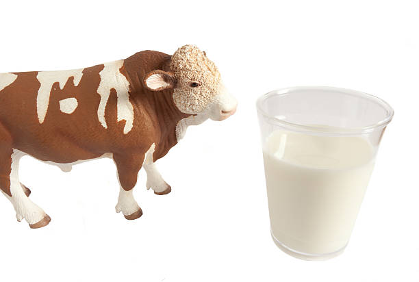 istock Cow and milk in the farm 470359106