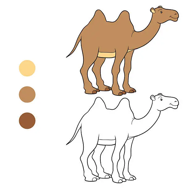Vector illustration of Coloring book (camel)