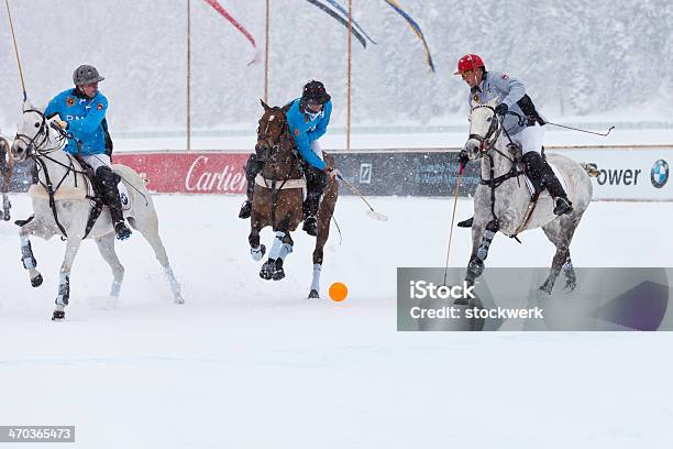 Photo libre de droit de Polo Sur Neige banque d'images et plus d'images libres de droit de 2014 - 2014, BMW, Balle ou ballon