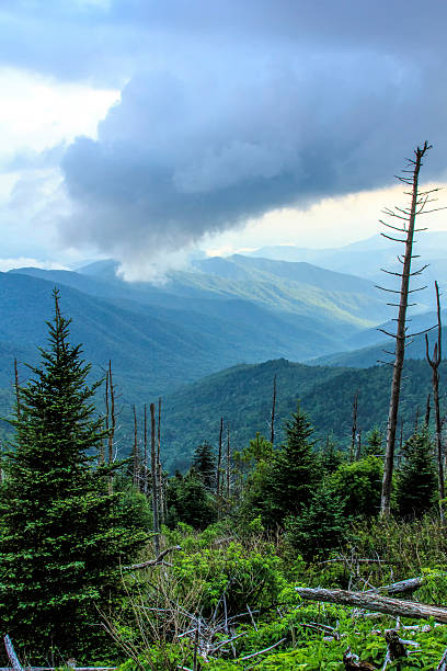 istock Natural Landscape from Clingmans Dome 470365709