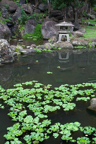 istock Japanese water garden 470368963