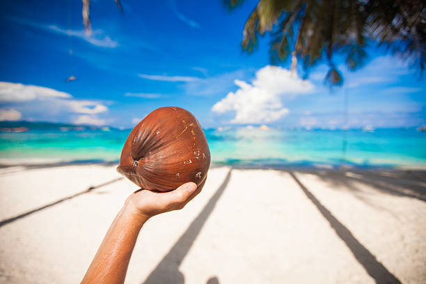 istock Close-up of person's hand holding a coconut 470383953