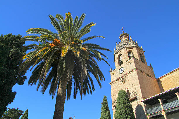 istock Cathedral of Ronda, Spain 470388433