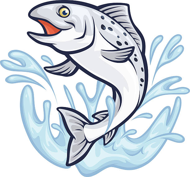 ilustraciones, imágenes clip art, dibujos animados e iconos de stock de splashin'salmón - salmón pescado