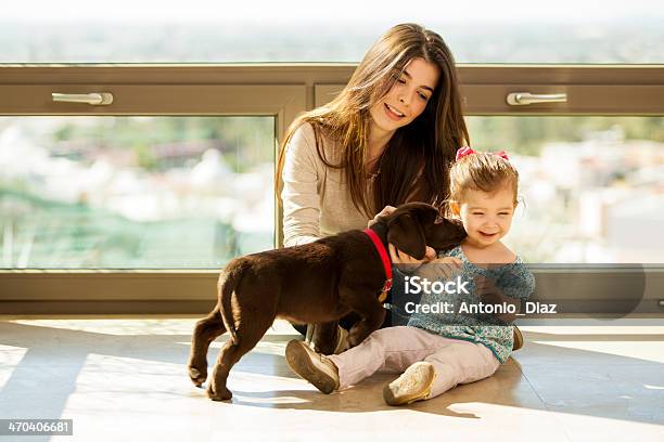 Carino Cucciolo Baciare La Bambina - Fotografie stock e altre immagini di Animale da compagnia - Animale da compagnia, Accarezzare un animale, Famiglia