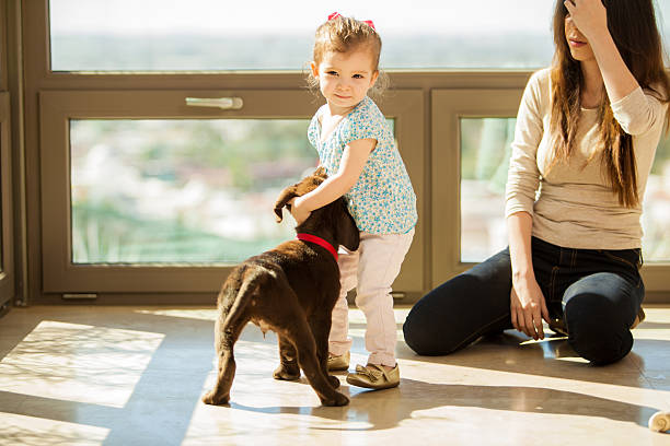 istock I love my new puppy! 470406715