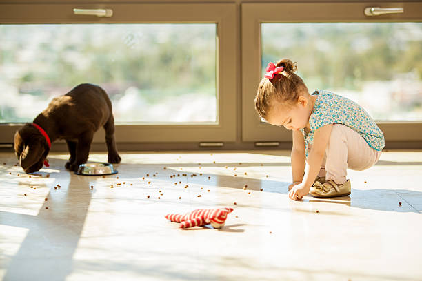 istock Puppy making a mess with food 470406791