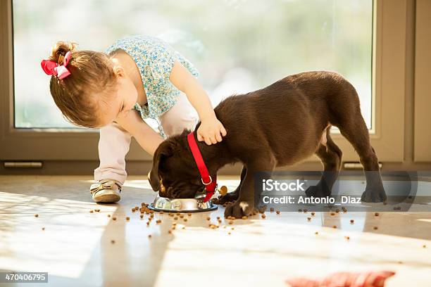 Cute Little Girl Feeding Her Puppy Stock Photo - Download Image Now - Pets, Petting, Child