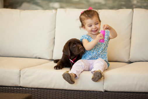Cute little girl and her puppy having fun and making some bubbles