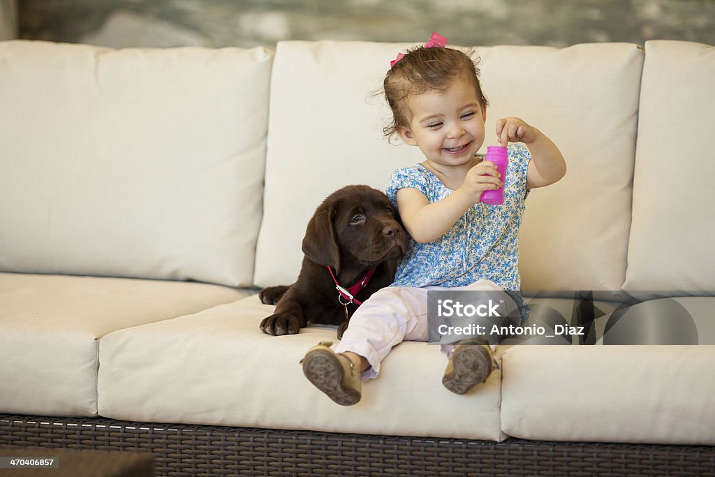 Happy little girl making bubbles Cute little girl and her puppy having fun and making some bubbles Dog Stock Photo