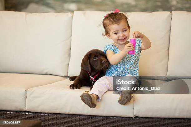 Happy Little Girl Making Bubbles Stock Photo - Download Image Now - Dog, Toddler, Pets