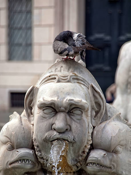 Fountain del Moro on square Navone in Rome Fountain del Moro on square Navone in Rome, in Italy. fontana del moro stock pictures, royalty-free photos & images