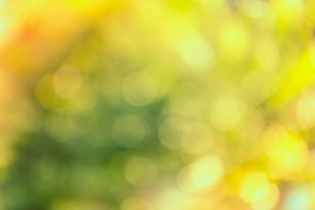 istock Vintage bokeh of nature background 470412246